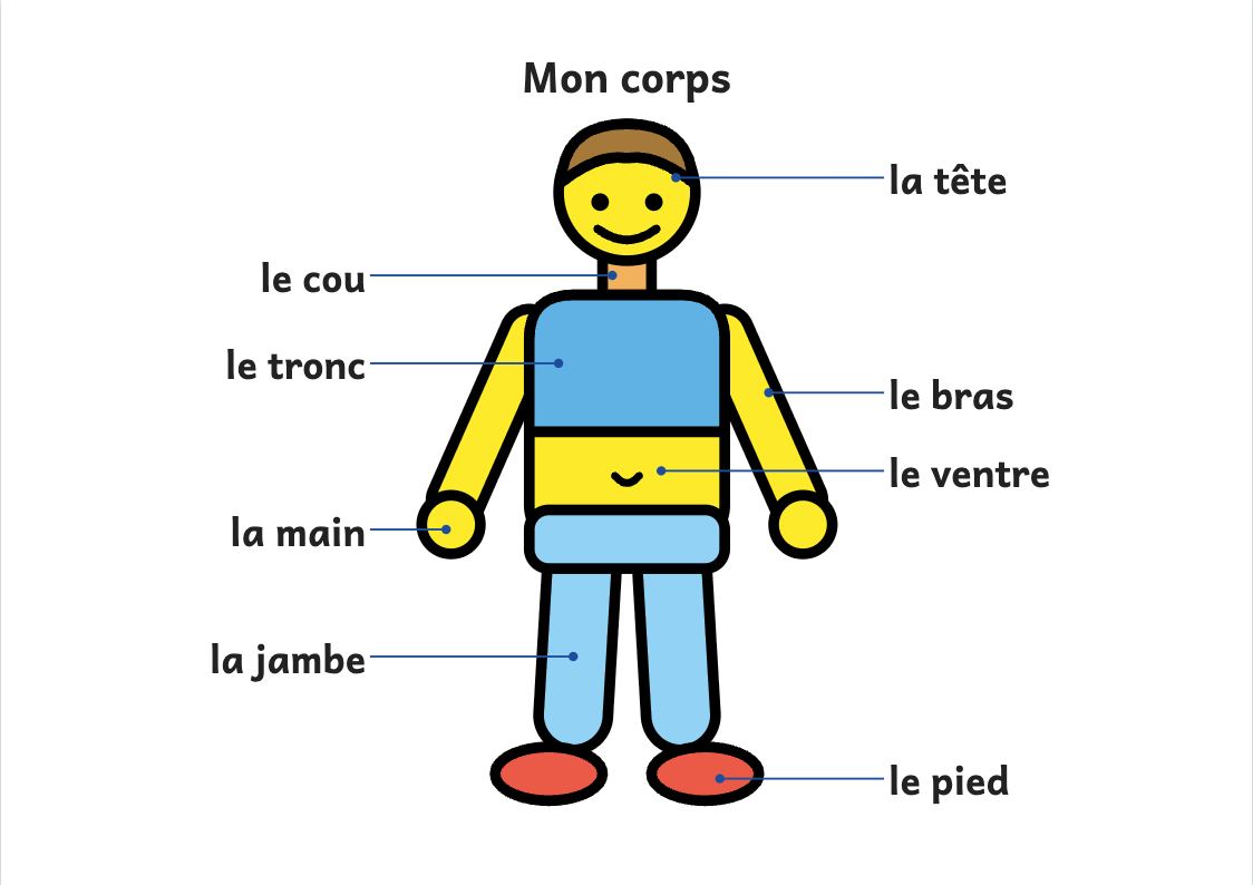 Aperçu, page 1 : Affiche du corps humain : la tête, le cou, le tronc, le ventre, les bras, les jambes