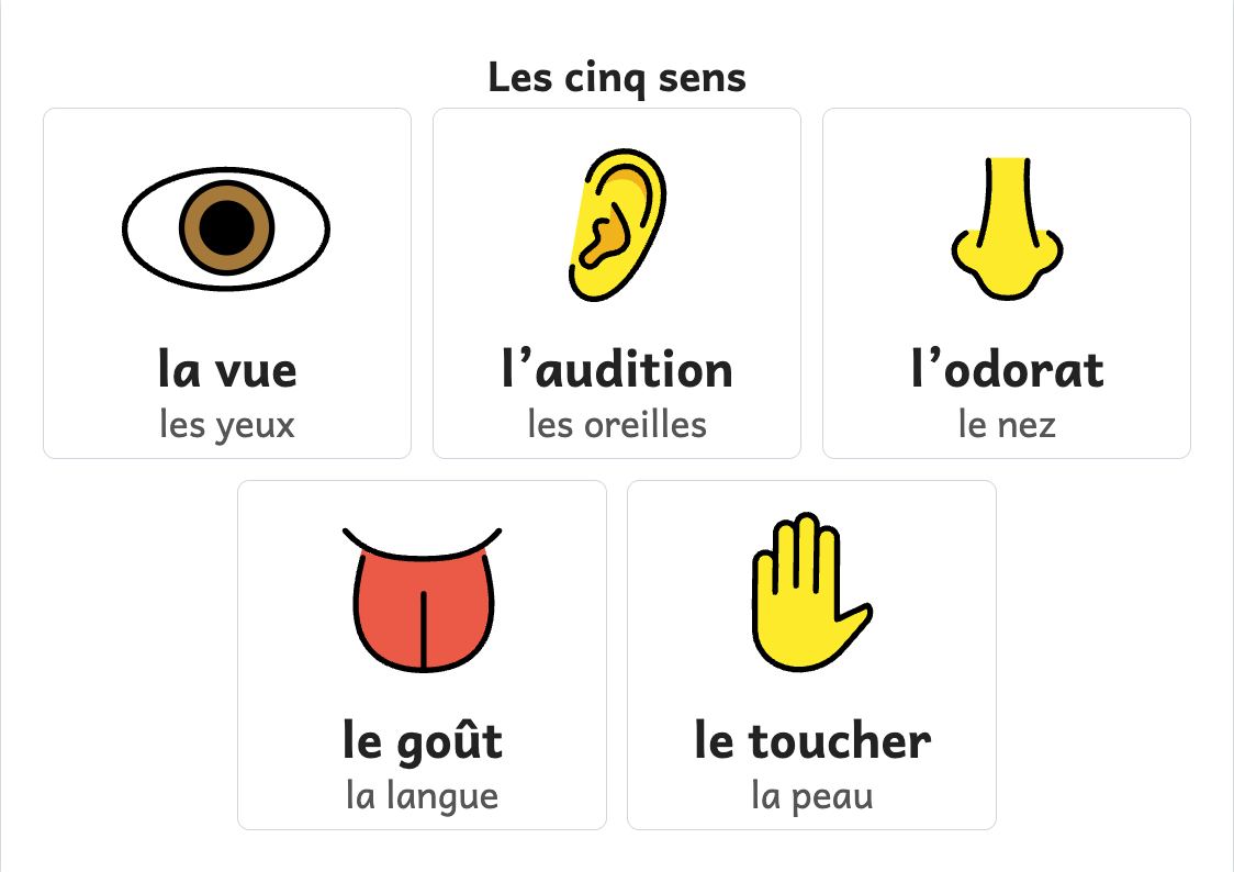 Aperçu, page 1 : Affiche des cinq sens : la vue, l’audition, l’odorat, le goût, le toucher