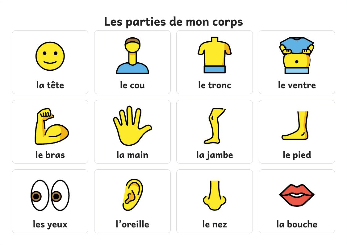 Aperçu, page 1 : Affiche des parties du corps : la tête, le cou, le tronc, le ventre, les bras, les jambes…