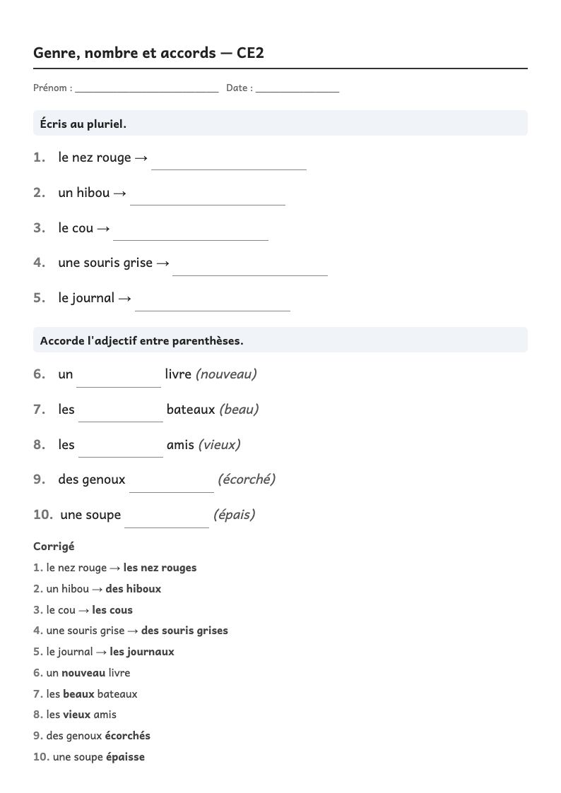 Aperçu, page 1 : Grammaire — Masculin, féminin, singulier, pluriel ; accords dans le groupe nominal
