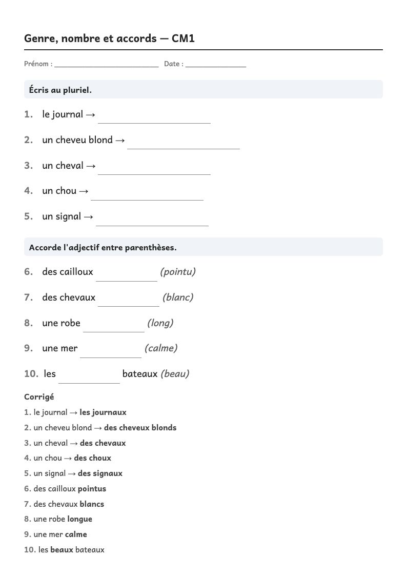 Aperçu, page 1 : Grammaire — Masculin, féminin, singulier, pluriel ; accords dans le groupe nominal