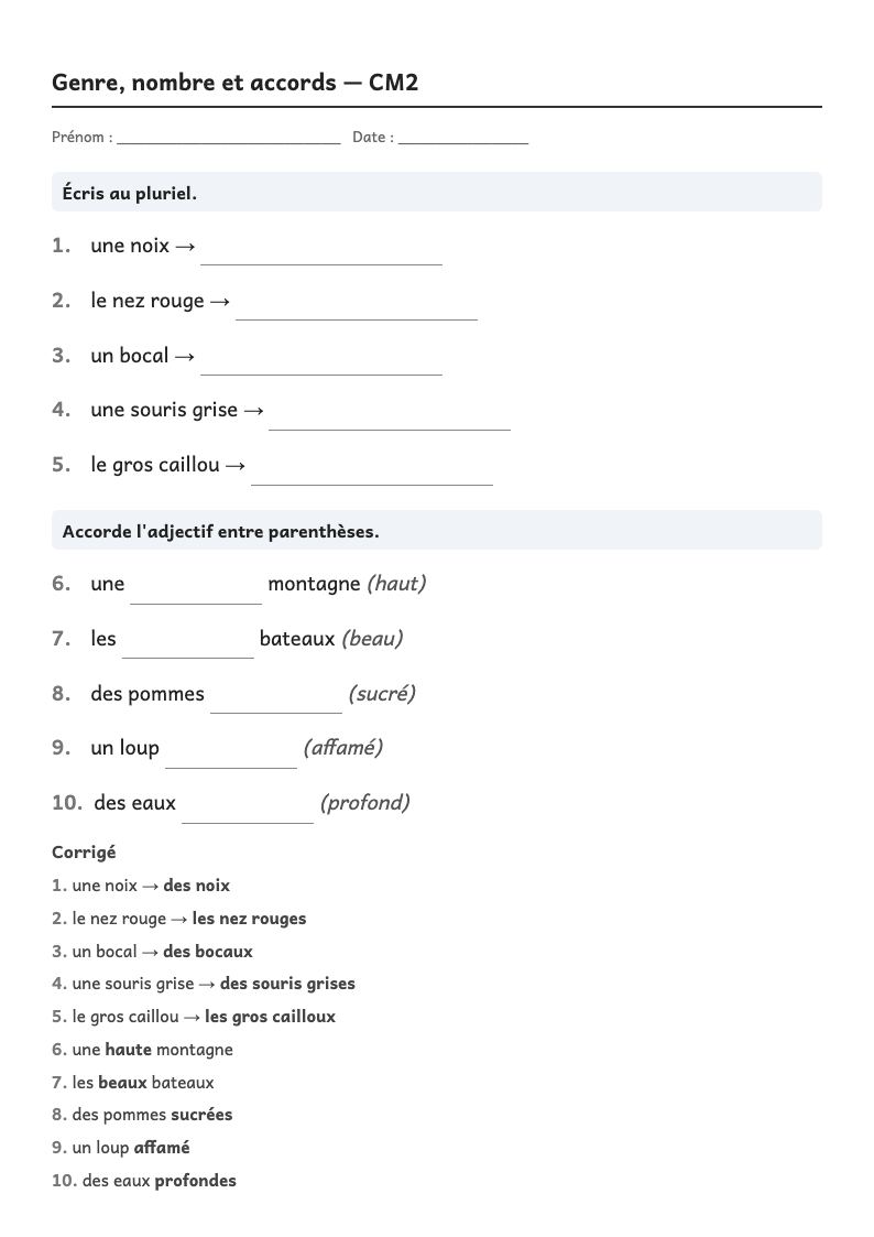 Aperçu, page 1 : Grammaire — Masculin, féminin, singulier, pluriel ; accords dans le groupe nominal