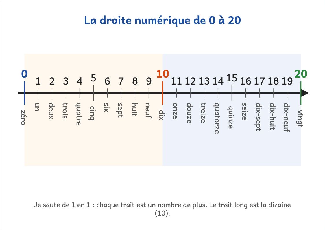 Droite numérique de 0 à 20 à imprimer