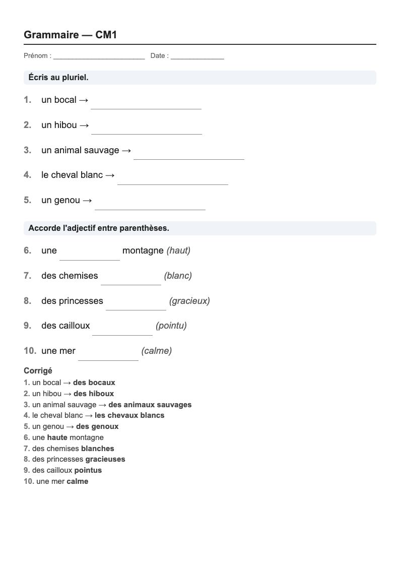 Grammaire — CM1 : genre, nombre et accords, fiches d'exercices à imprimer