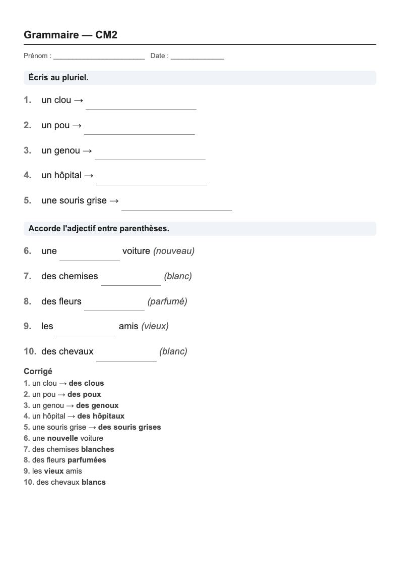 Grammaire — CM2 : genre, nombre et accords, fiches d'exercices à imprimer